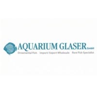 Aquarium Glaser