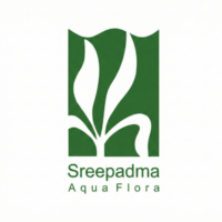 スリーパドゥマ