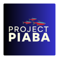 プロジェクトピアバ