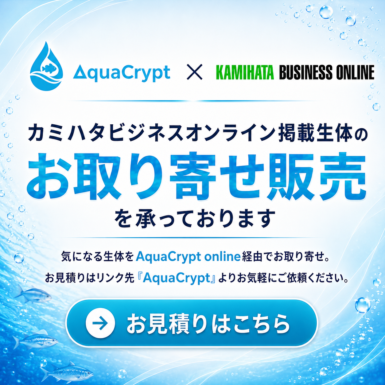 詳しくはこちら