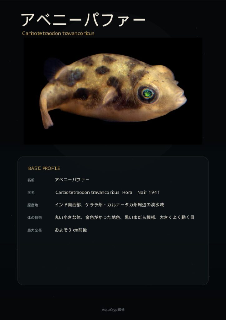 アベニー・パファーの資料プレビュー