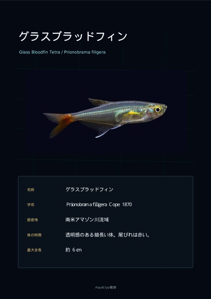 グラスブラッドフィンの資料プレビュー