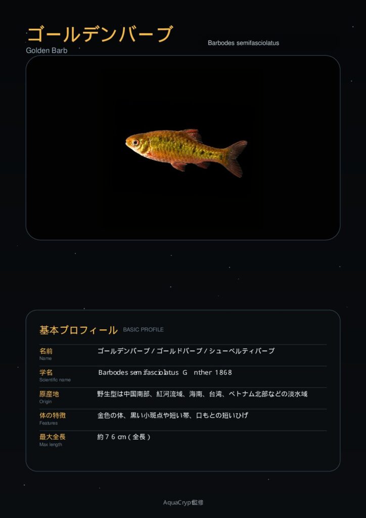 ゴールデンバルブの資料プレビュー