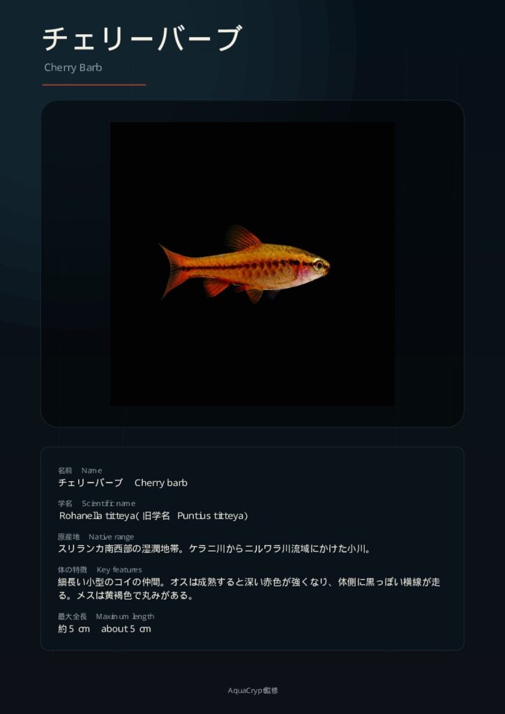 チェリーバルブの資料プレビュー