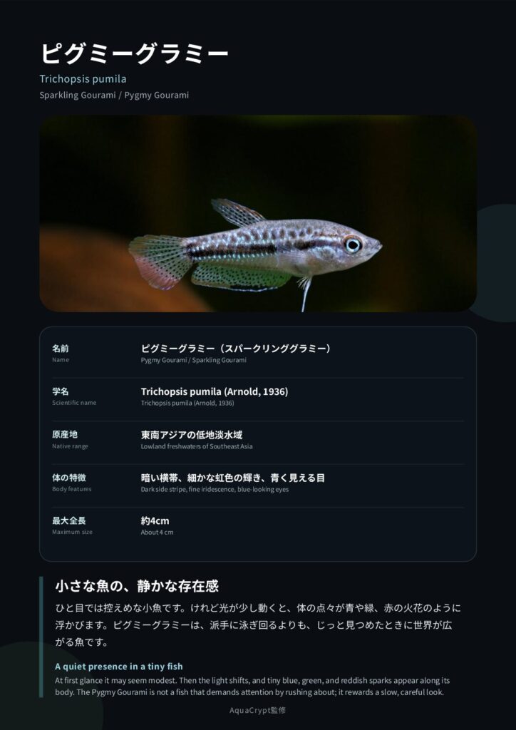 ピグミーグラミーの資料プレビュー