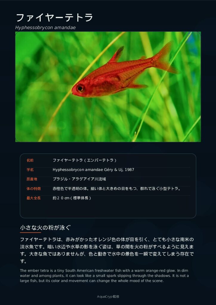 ファイヤーテトラの資料プレビュー