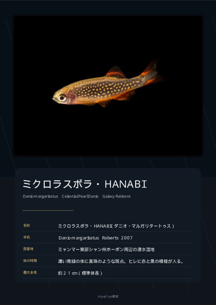 ミクロラスボラ・ハナビの資料プレビュー