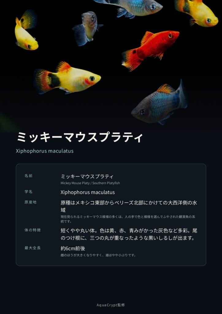 ミッキーマウスプラティの資料プレビュー